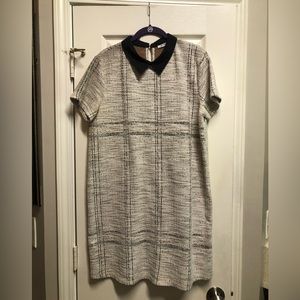Collared Dress- professional wear